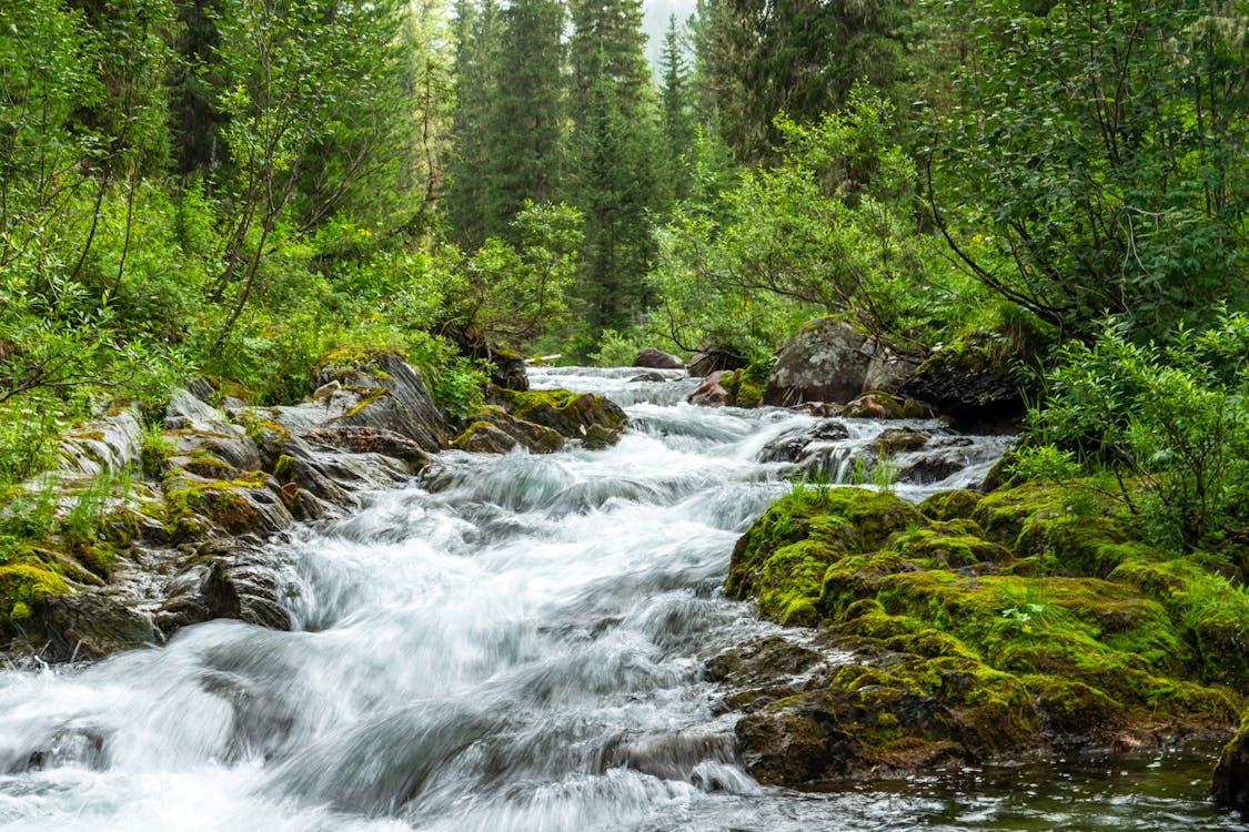 Timber sourcing UAE - pic2