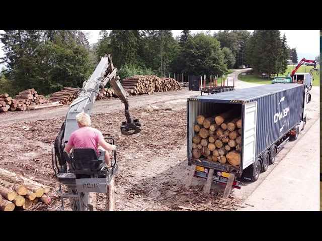 Timber sourcing UAE - pic5